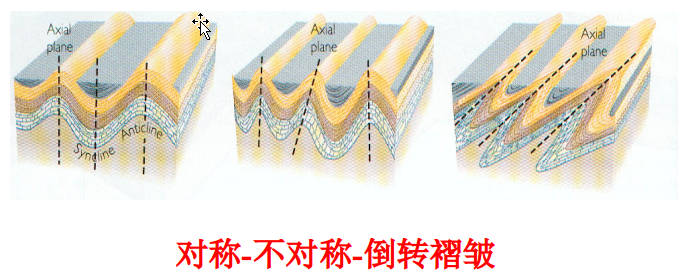 ../../_images/褶皱对称性形态.png